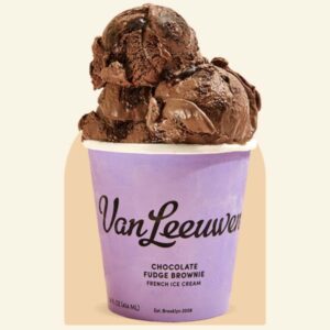 Chocolate Fudge Brownie